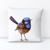 CUSHION Large Blue Wren, Russet on White