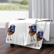 CUSHION Large Blue Wren, Russet on White