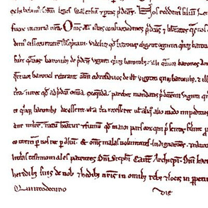 Magna Carta // Burgundy