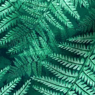 Fern Forest