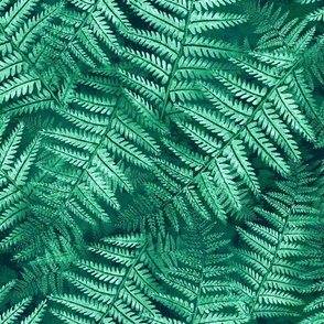 Fern Forest