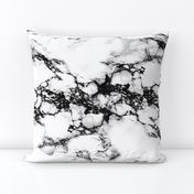 White and black marble