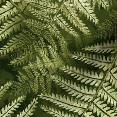 Fern Forest (military green) 