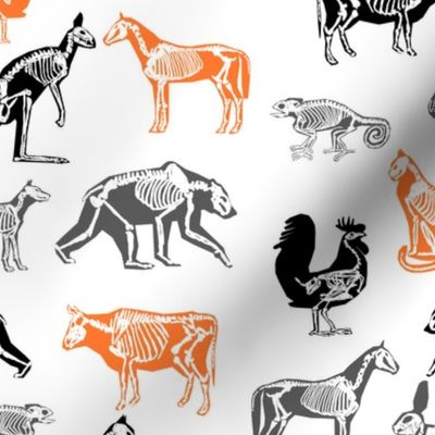 xray // animal skeletons cute nature themed fabric gender neutral animals white orange