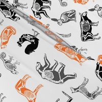 xray // animal skeletons cute nature themed fabric gender neutral animals white orange