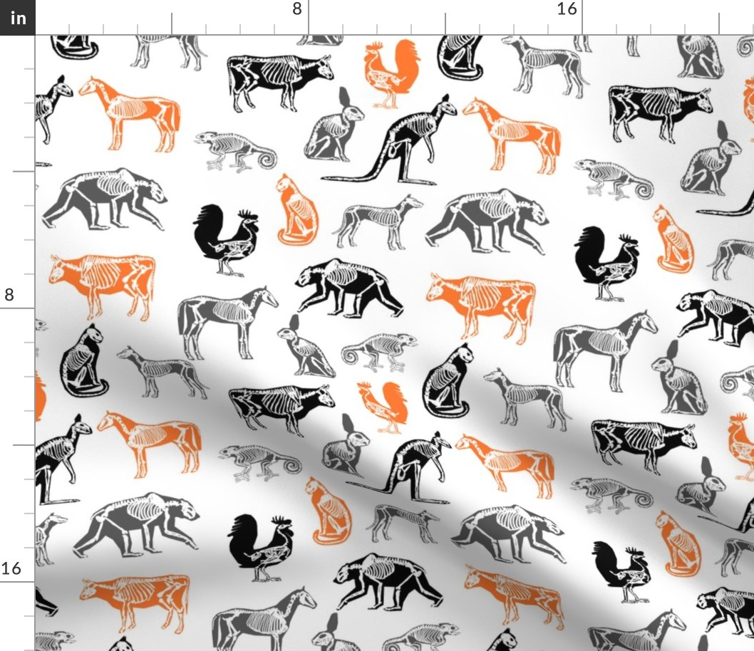 xray // animal skeletons cute nature themed fabric gender neutral animals white orange