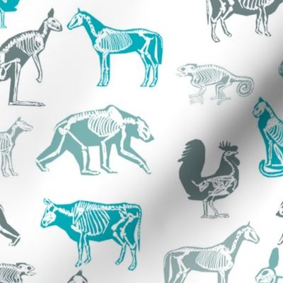 xray // animal skeletons cute nature themed fabric gender neutral animals white blues