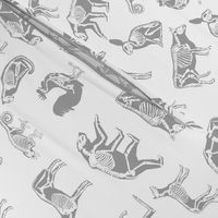 xray // animal skeletons cute nature themed fabric gender neutral animals white grey