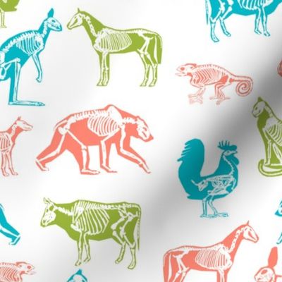 xray // animal skeletons cute nature themed fabric gender neutral animals white bright