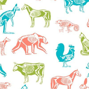 xray // animal skeletons cute nature themed fabric gender neutral animals white bright