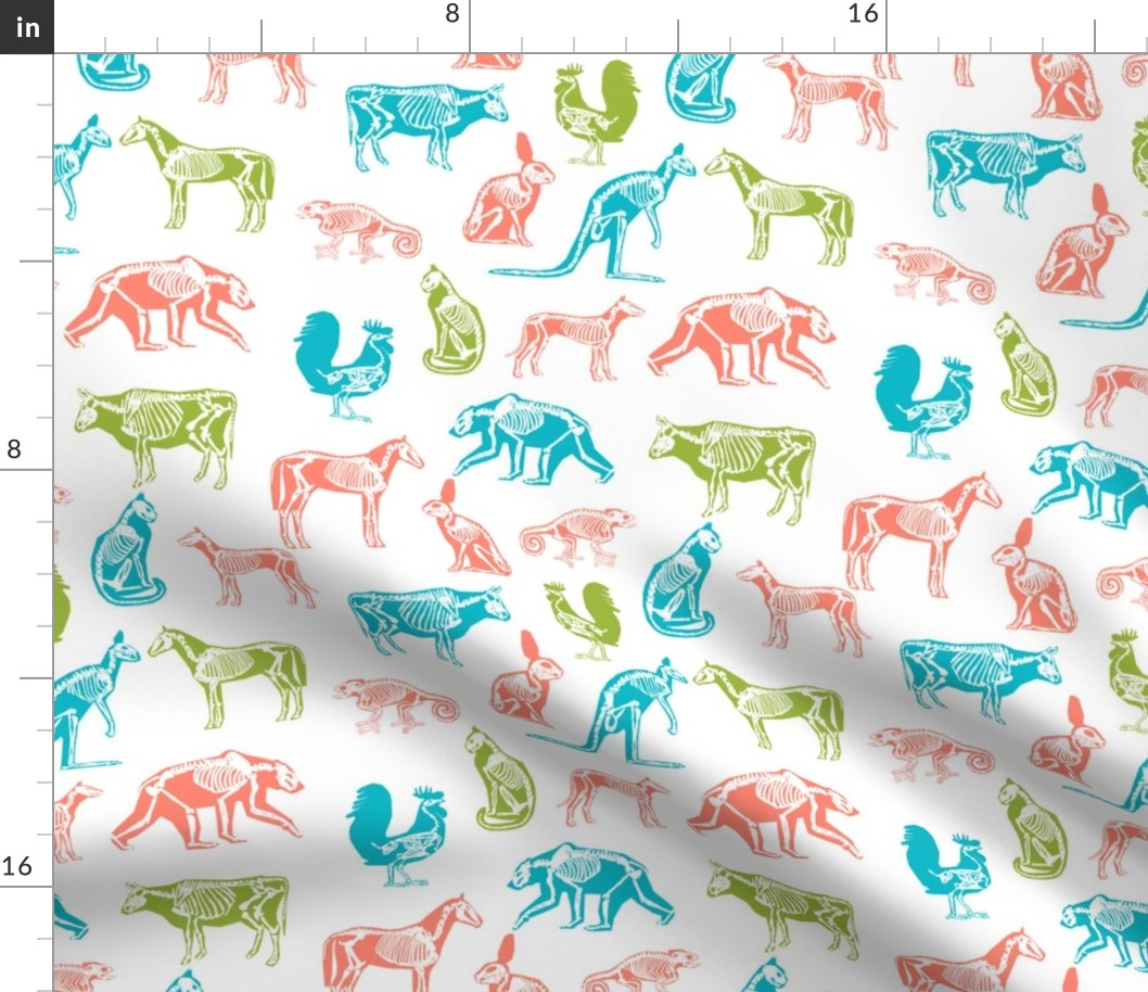 xray // animal skeletons cute nature themed fabric gender neutral animals white bright