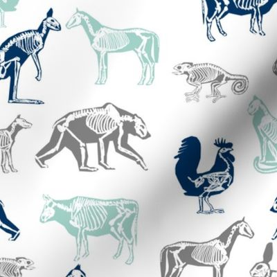 xray // animal skeletons cute nature themed fabric gender neutral animals white blue