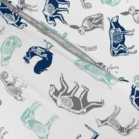 xray // animal skeletons cute nature themed fabric gender neutral animals white blue