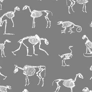 xray // animal skeletons cute nature themed fabric gender neutral animals grey
