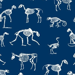 xray // animal skeletons cute nature themed fabric gender neutral animals navy