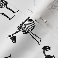 xray // animal skeletons cute nature themed fabric gender neutral animals black and white