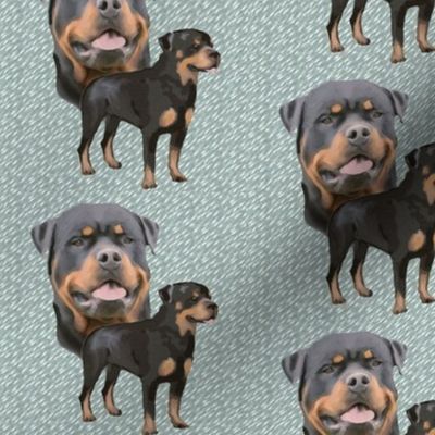 Rottweiler fabric