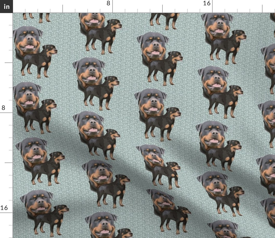 Rottweiler fabric