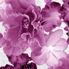 Flower Play Iris Glad Huge Mauve