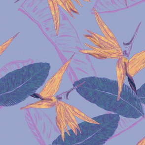 bird of paradise pattern