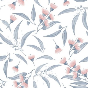 Gum Blossoms - Pink Blossoms and Blue Foliage on White background