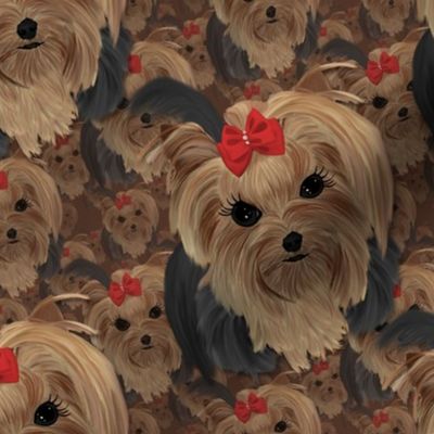 Yorkie Furkid