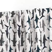 shark // sharks nautical boys white background kids ocean sea tiger shark hammerhead shark fabric - railroad