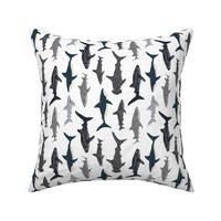 shark // sharks nautical boys white background kids ocean sea tiger shark hammerhead shark fabric - railroad