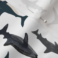 shark // sharks nautical boys white background kids ocean sea tiger shark hammerhead shark fabric - railroad