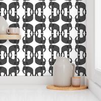 Elephant in white reflected