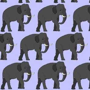 Elephant on Purple 1