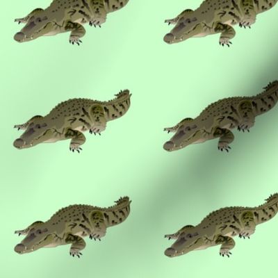 Resting Crocodile in green