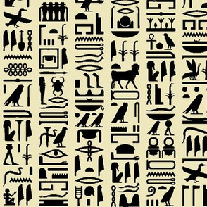 Egyptian Hieroglyphics on Parchment // Small