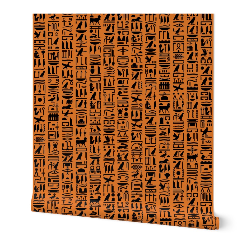 Egyptian Hieroglyphics on Orange // Large