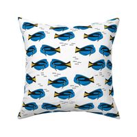 blue tang fish fabric nursery baby crib decor white blue