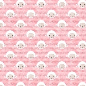 3/4" little lamb - pink - C18BS