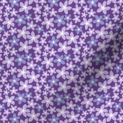 Plumeria - Purple