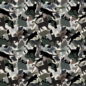 Camo Cats