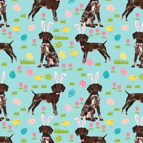 german shorthair pointer easter dog breed pet fabric teal