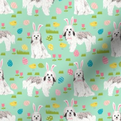 havanese easter dog breed fabric spring easter bunny pure bred mint