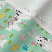 havanese easter dog breed fabric spring easter bunny pure bred mint