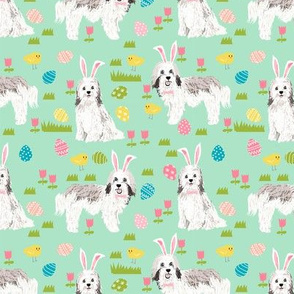 havanese easter dog breed fabric spring easter bunny pure bred mint