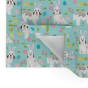 havanese easter dog breed fabric spring easter bunny pure bred blue