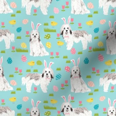 havanese easter dog breed fabric spring easter bunny pure bred blue