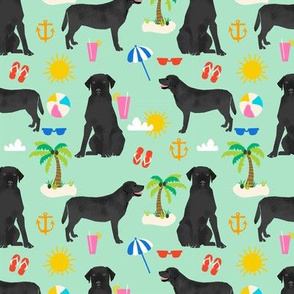 Black Lab labrador retriever beach summer dog breed fabric mint