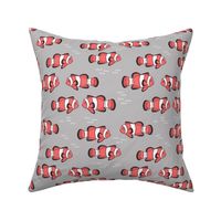 clown fish // fish coral reef animal tropical nursery ocean life grey