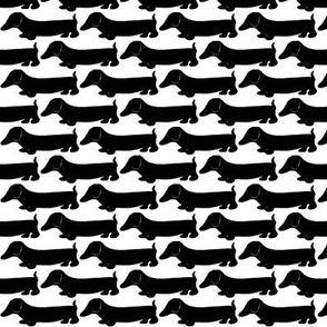 Dachshund 2 black & white / Dog Print 