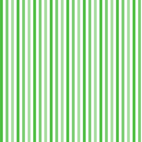 Green Stripes