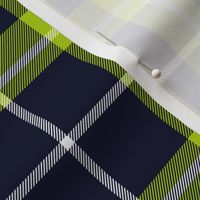 Newfoundland tartan, 6" custom lime-navy variant