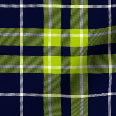 Newfoundland tartan, 6" custom lime-navy variant